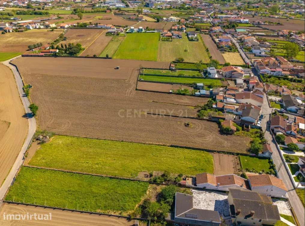 Terreno para construção com 2.171 m² em Estarreja, Aveiro - Grande imagem: 4/8