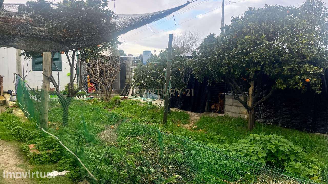 Terreno Rústico – Parcela de 1.200 m² em Pinhal das Formas - Quinta do - Grande imagem: 5/8