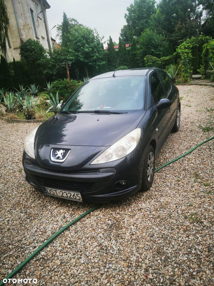 Peugeot 206 plus - 1
