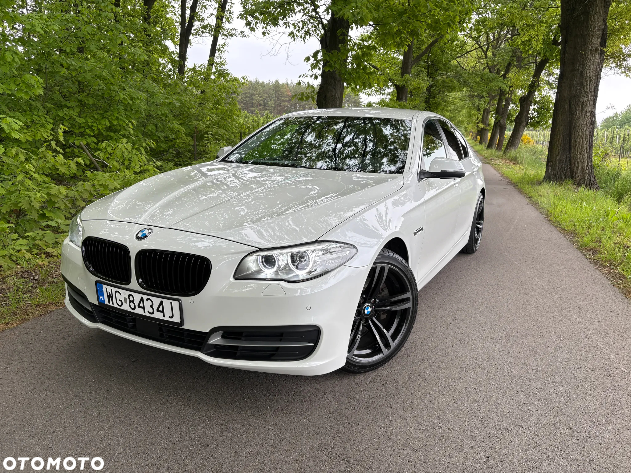 BMW Seria 5 520d - 5