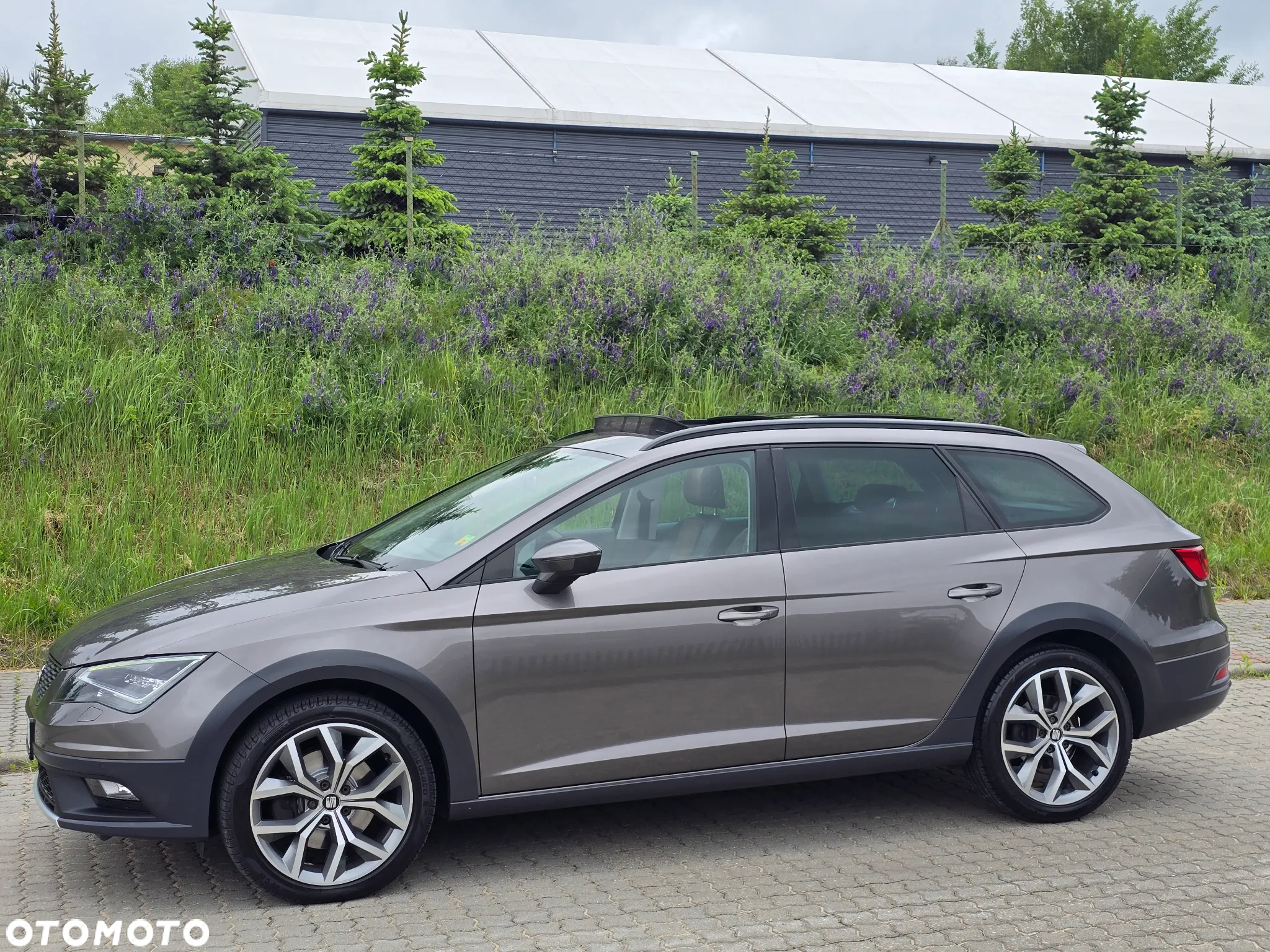 Seat Leon 2.0 TDI X-Perience S&S 4Drive DSG - 37