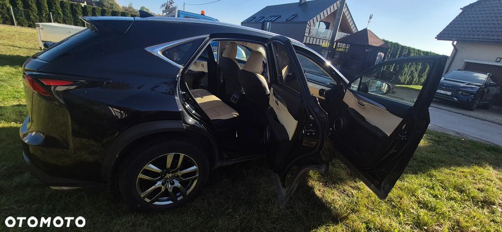 Lexus Nx 2016 photo 5