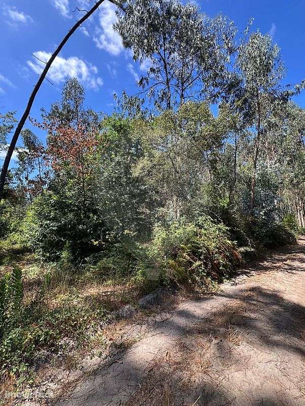 Terreno  para venda - Grande imagem: 3/3