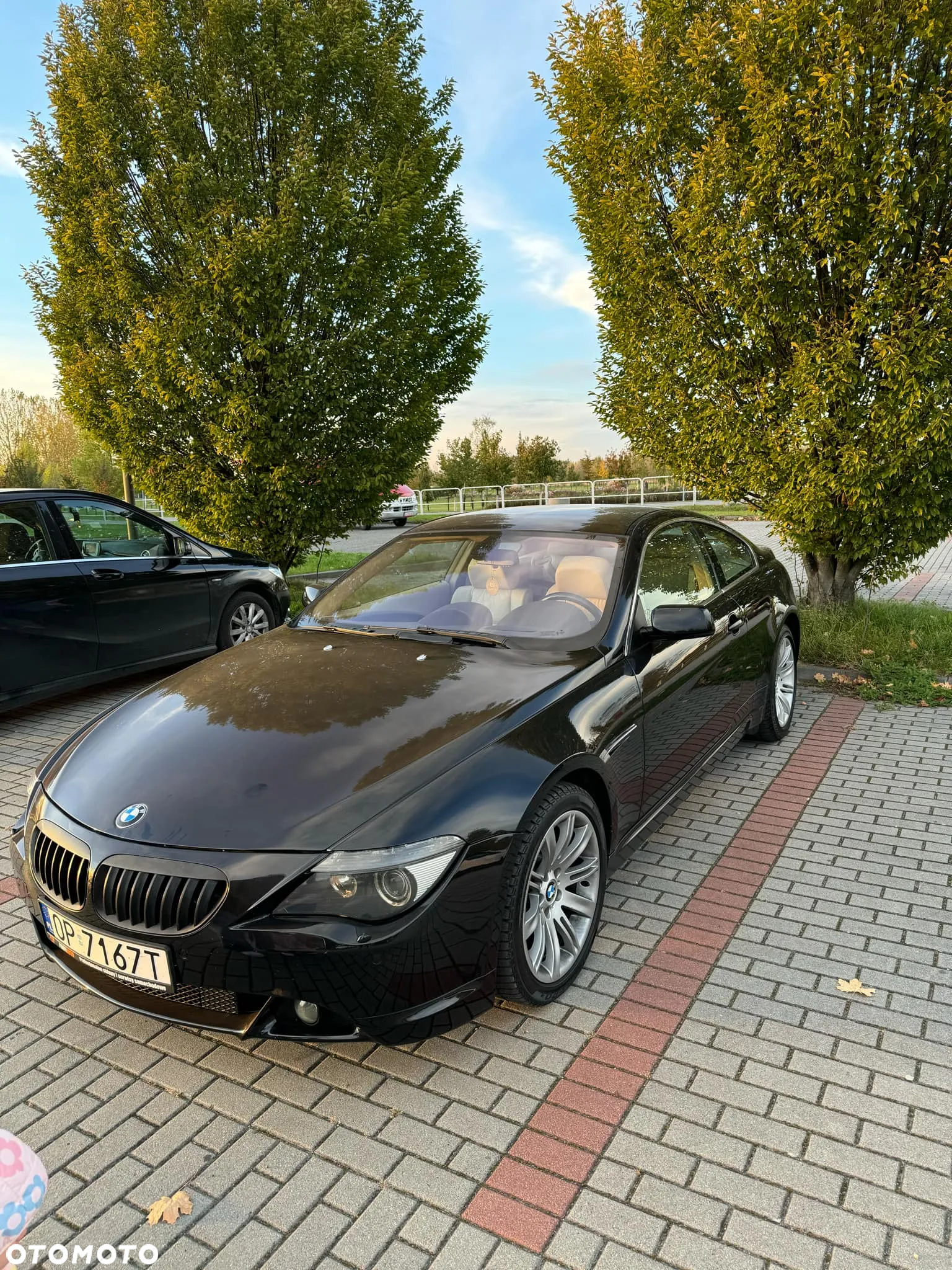 BMW Seria 6 645 Ci - 3