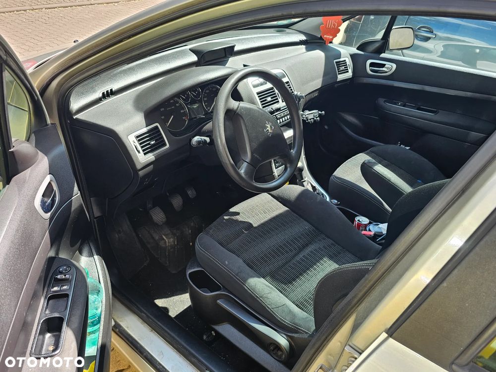 Peugeot 307 1.6 Oxygo - 10