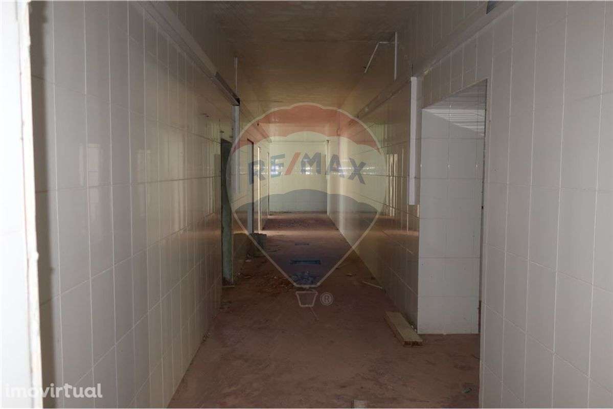 Industrial T0 para venda - Grande imagem: 5/13