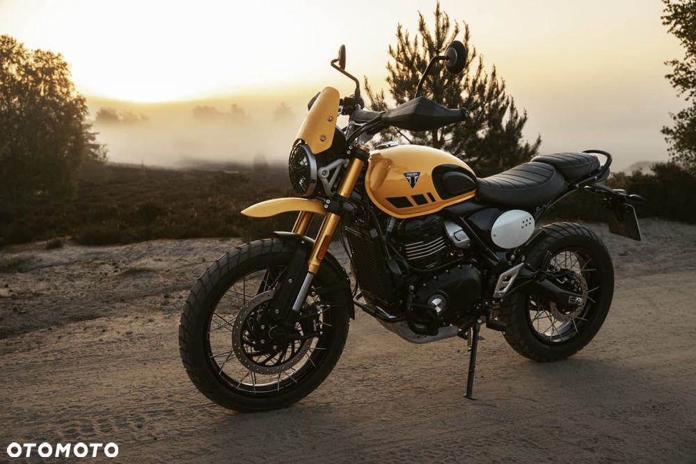 Triumph Scrambler - 2