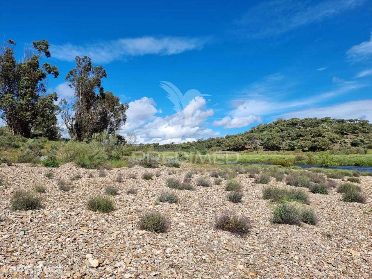 Herdade com artigo Urbano - Grande imagem: 4/23