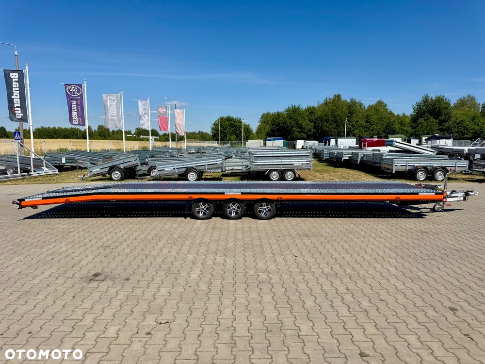 Niewiadów Indiana Premium Color I3585 - 3