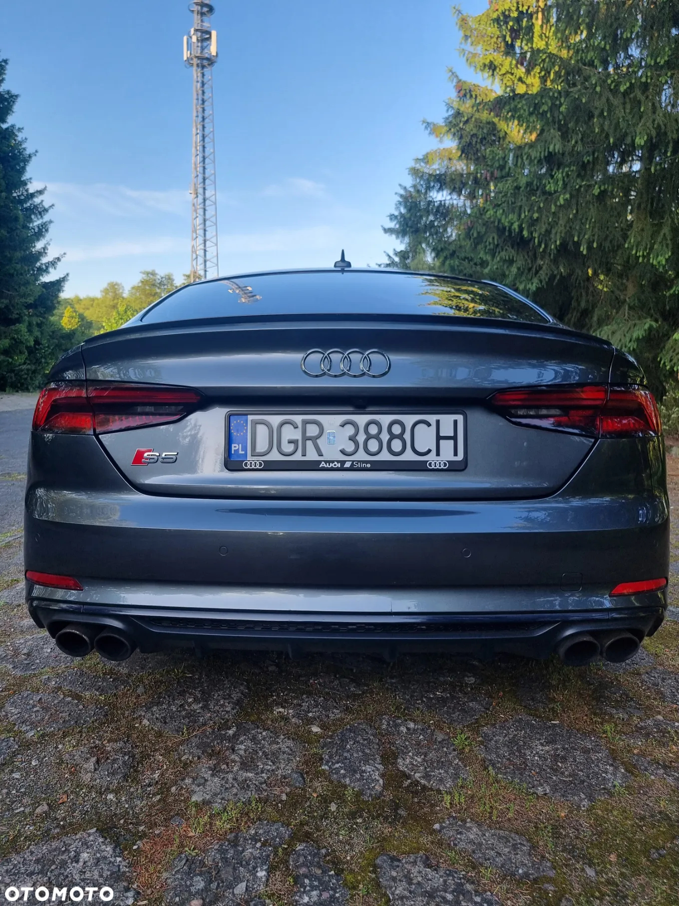 Audi S5 3.0 TFSI Quattro Tiptronic - 7