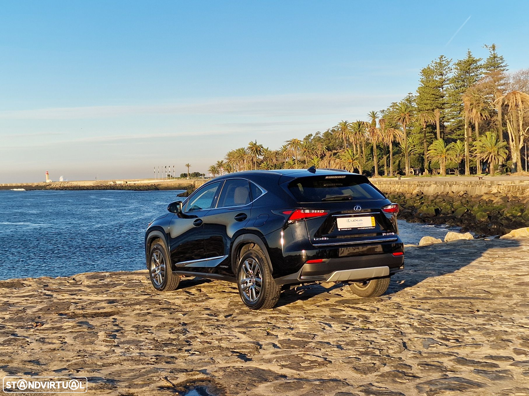 Lexus NX 300h - 3