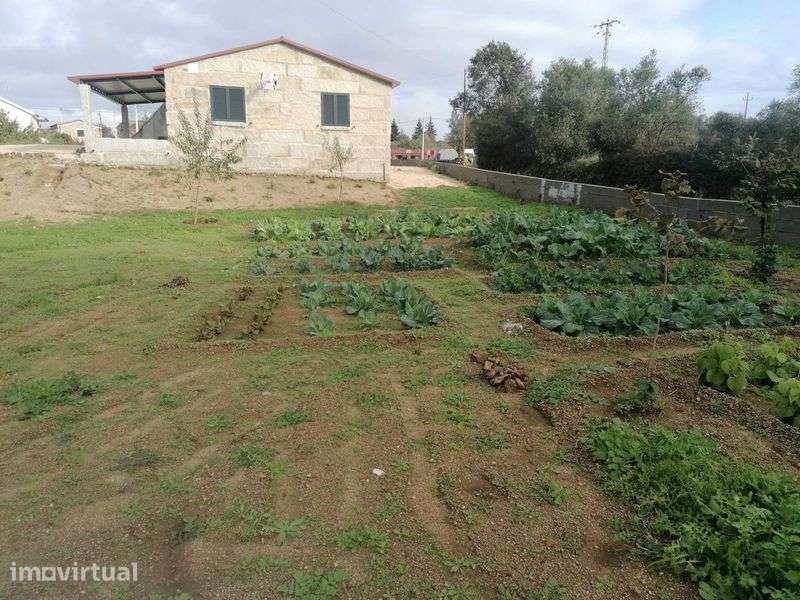 Casa de campo com terreno - Grande imagem: 4/4
