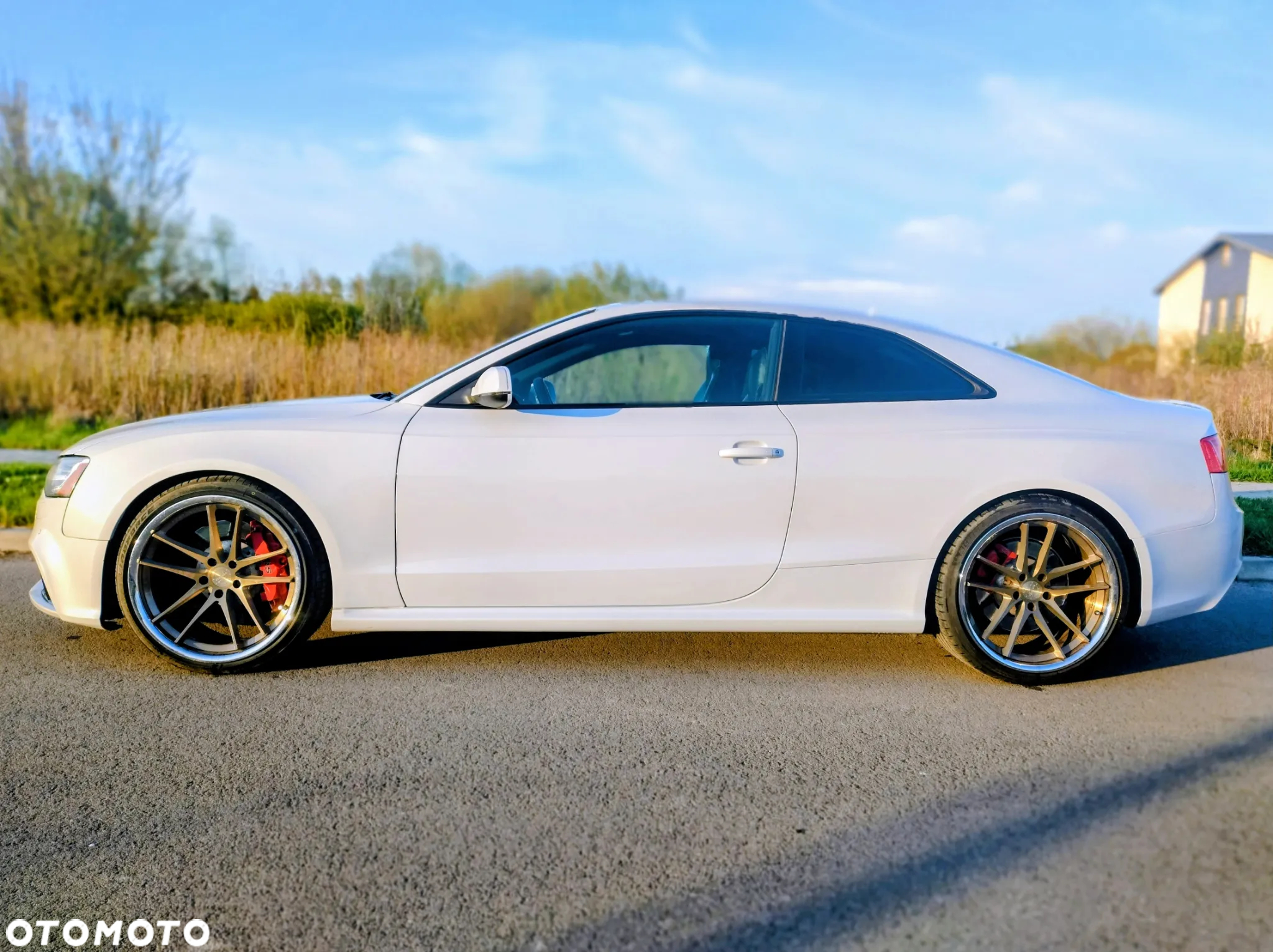 Audi RS5 Coupé Standard - 15