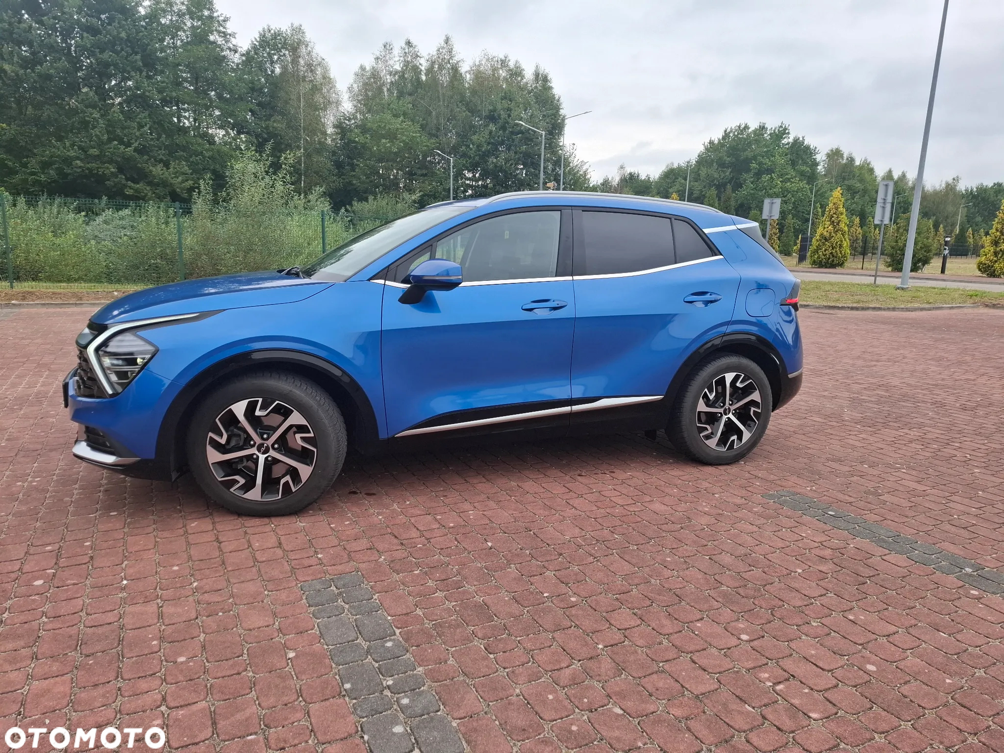 Kia Sportage 1.6 T-GDI L Business Line 2WD DCT - 12