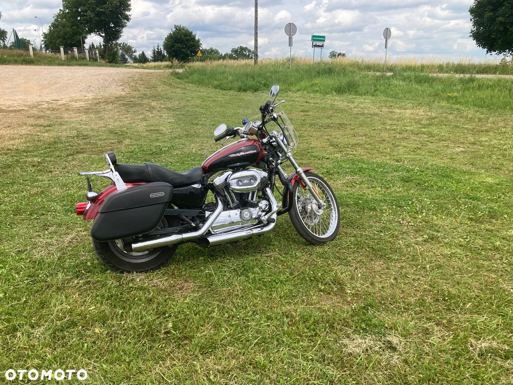 Harley-Davidson Sportster Custom 1200C - 9