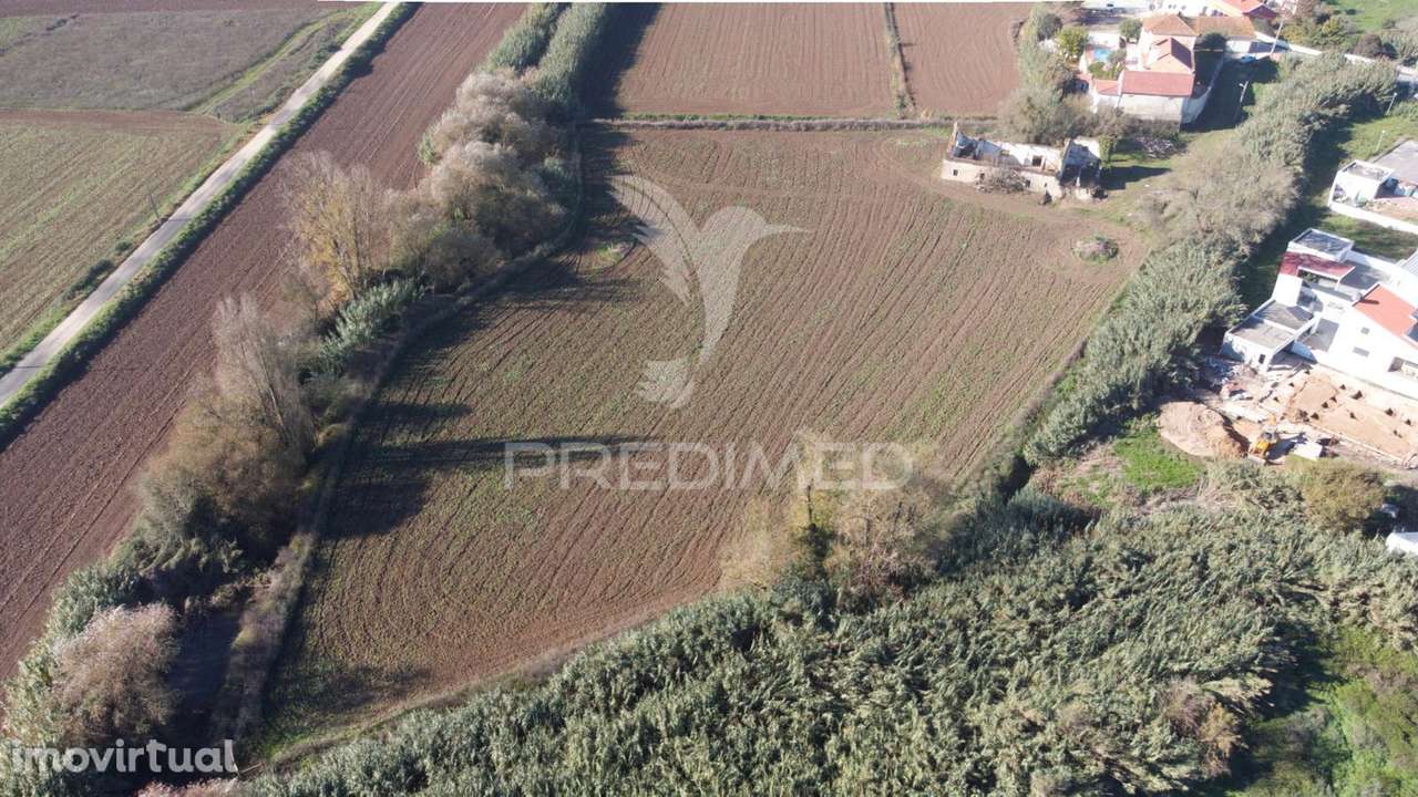 Oportunidade Propriedade - Ruina - Grande imagem: 3/20