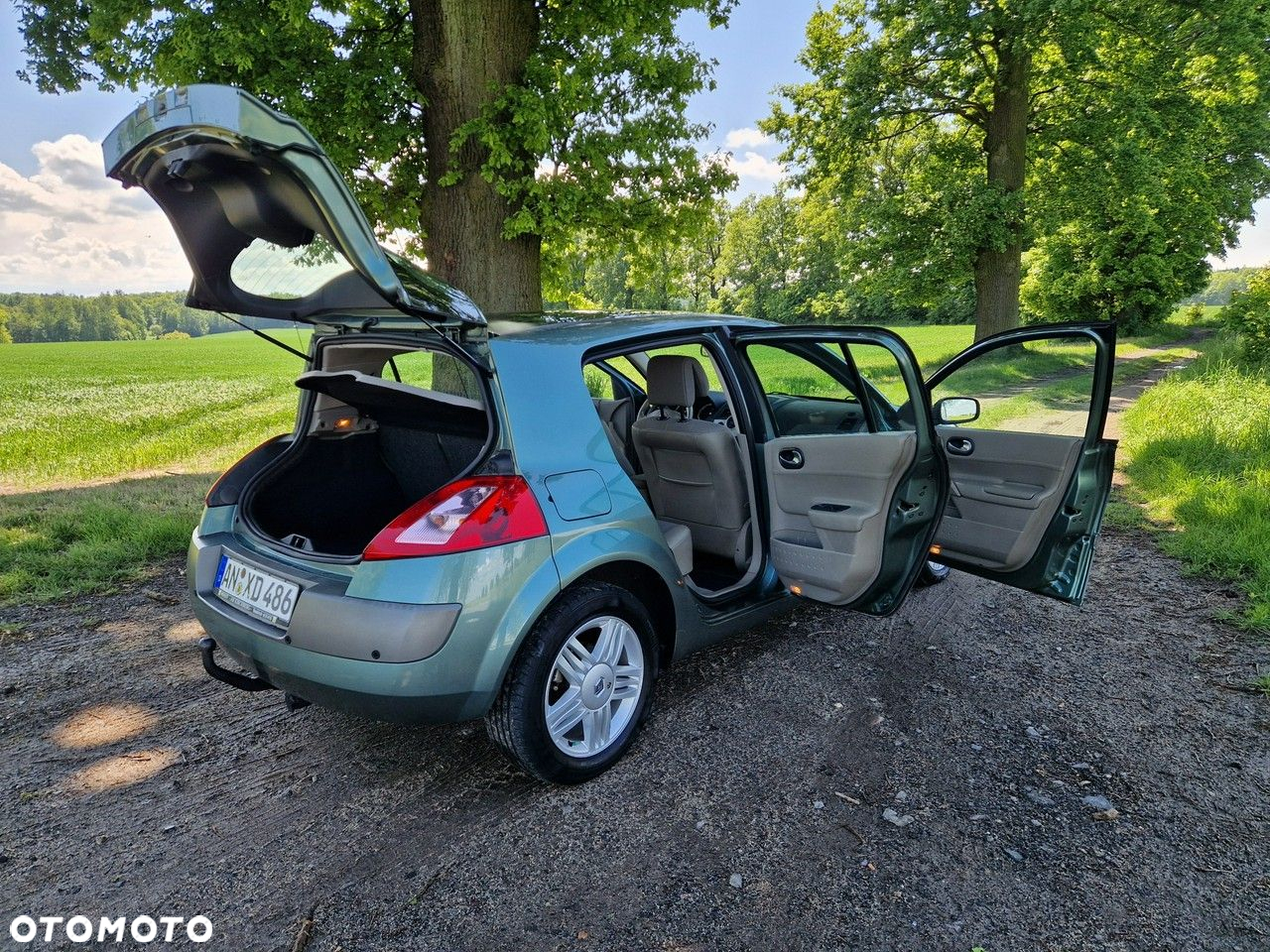 Renault Megane 1.6 Luxe Privilege - 17