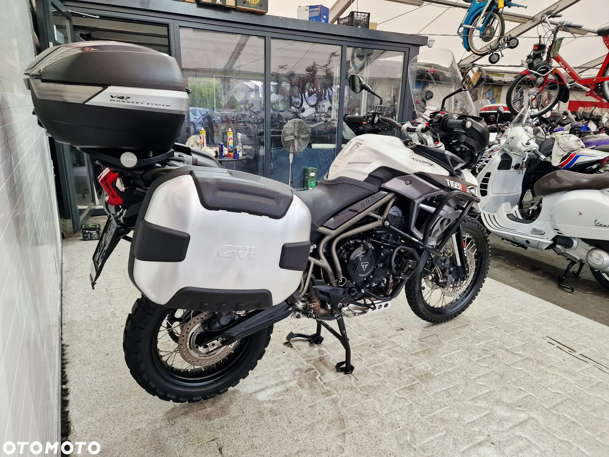 Triumph Tiger - 14