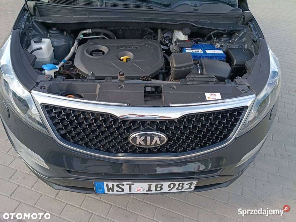 Kia Sportage - 3
