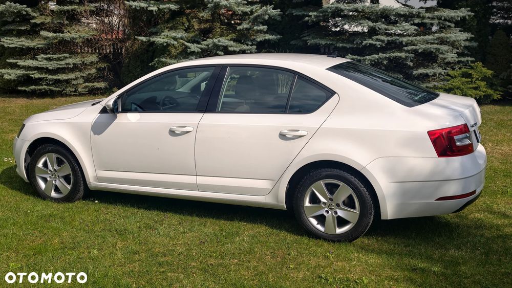 Skoda Octavia 2.0 TDI Ambition DSG - 12