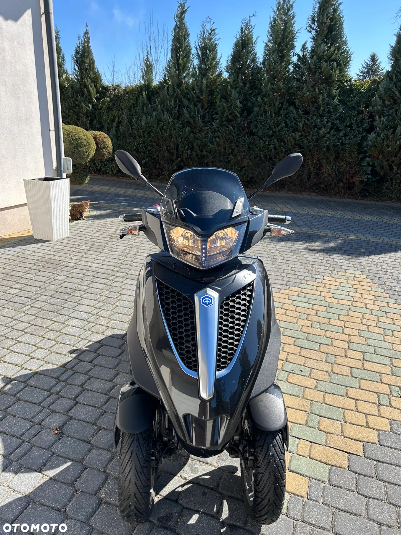 Piaggio MP-3 - 8