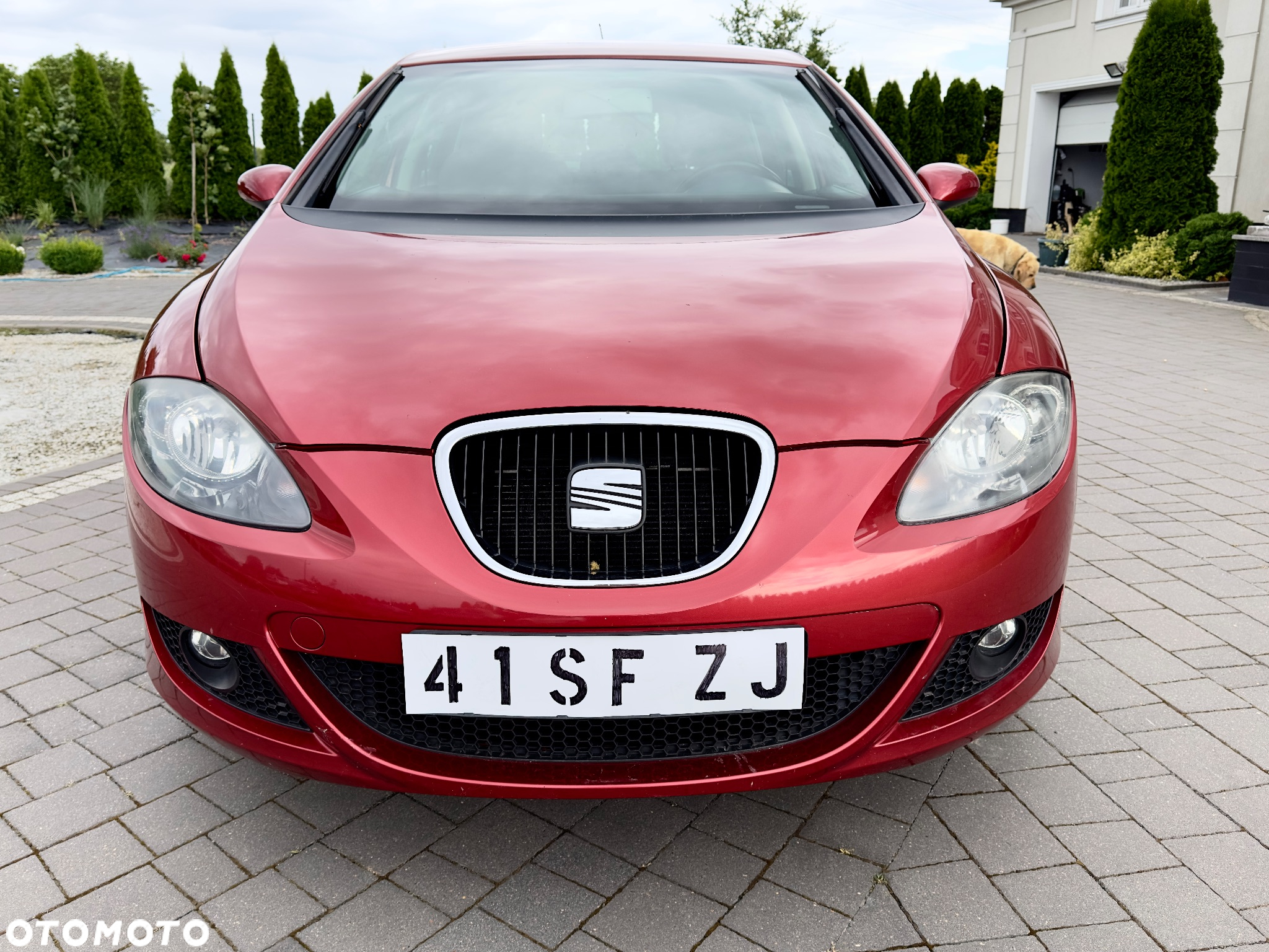 Seat Leon 1.6 Sport Limited - 9