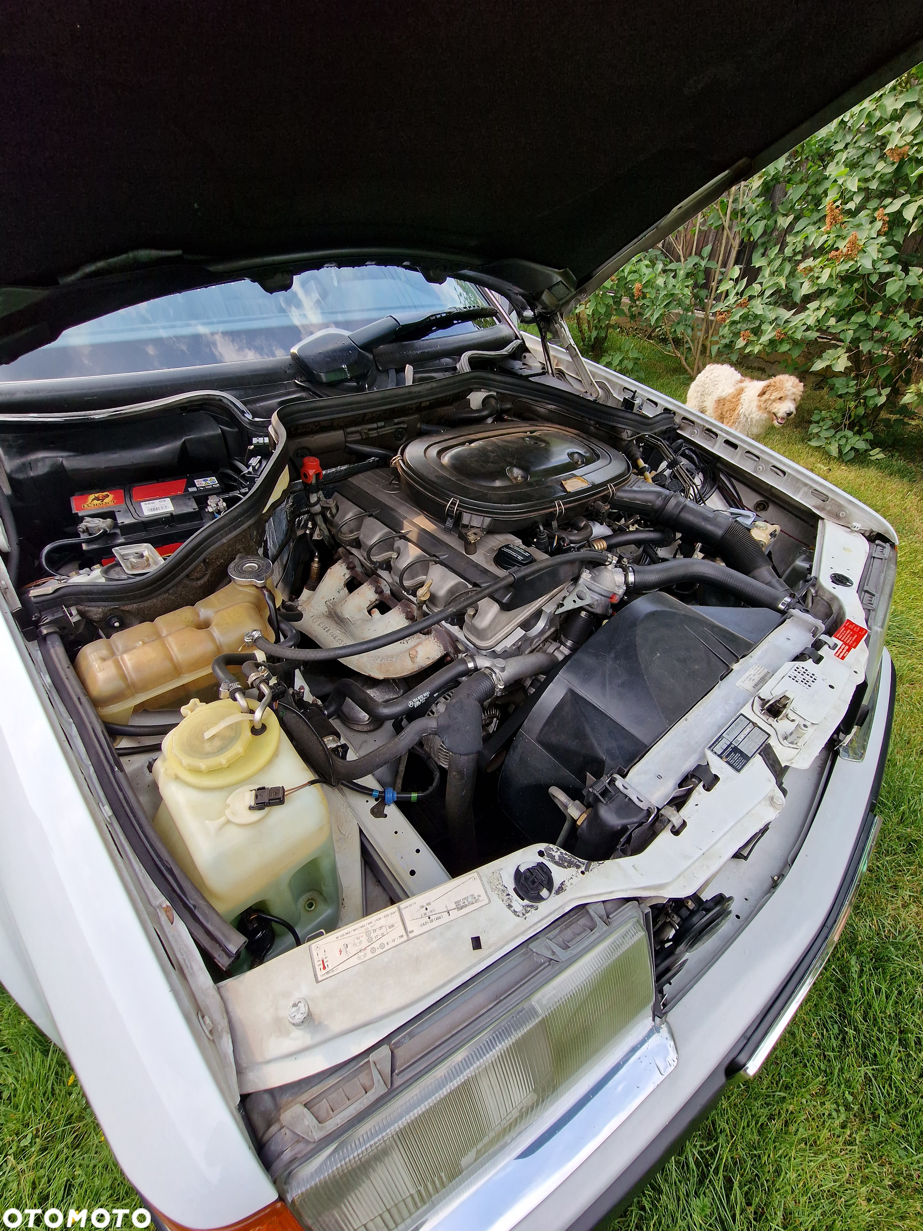 Mercedes-Benz W124 (1984-1993) - 11