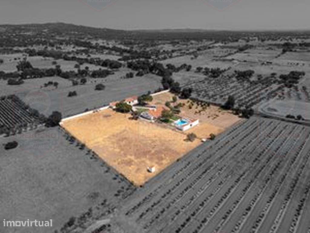 Descubra o privilégio de viver no coração do Alentejo! - Grande imagem: 5/59