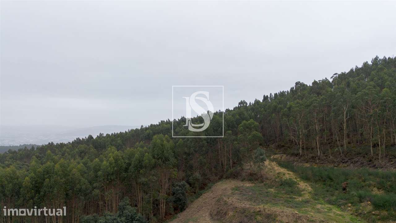 Terreno  Venda em Vandoma,Paredes - Grande imagem: 3/25
