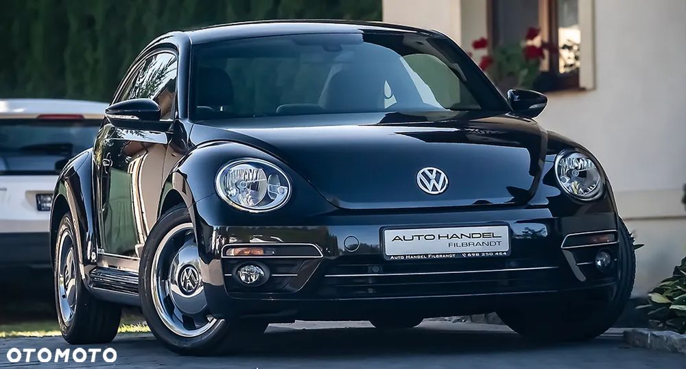 Volkswagen Beetle - 14