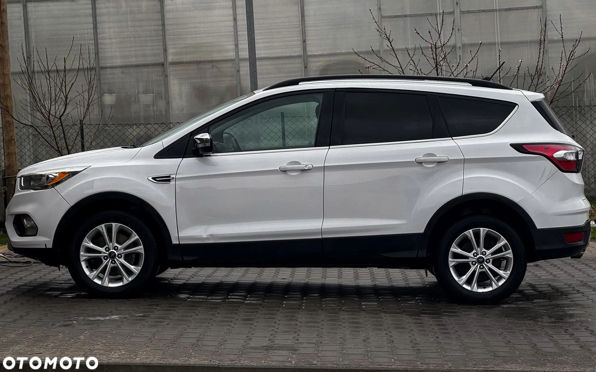 Ford Escape 1.5 EcoBoost AWD SE - 5