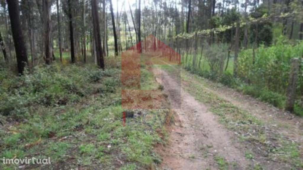 Terreno, Freiriz - Grande imagem: 5/6