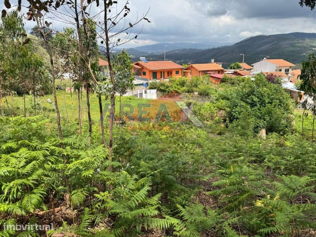 Terreno para construção - Palmaz - Grande imagem: 5/9
