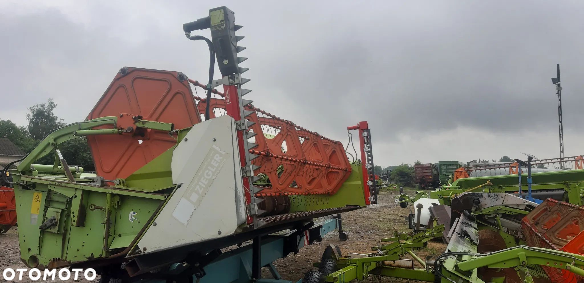 Stół do rzepaku Claas ZIEGLER 5,1m - 1