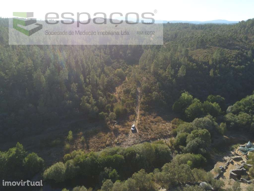 Cova das Medronheiras - Chão da Vã - Grande imagem: 3/10