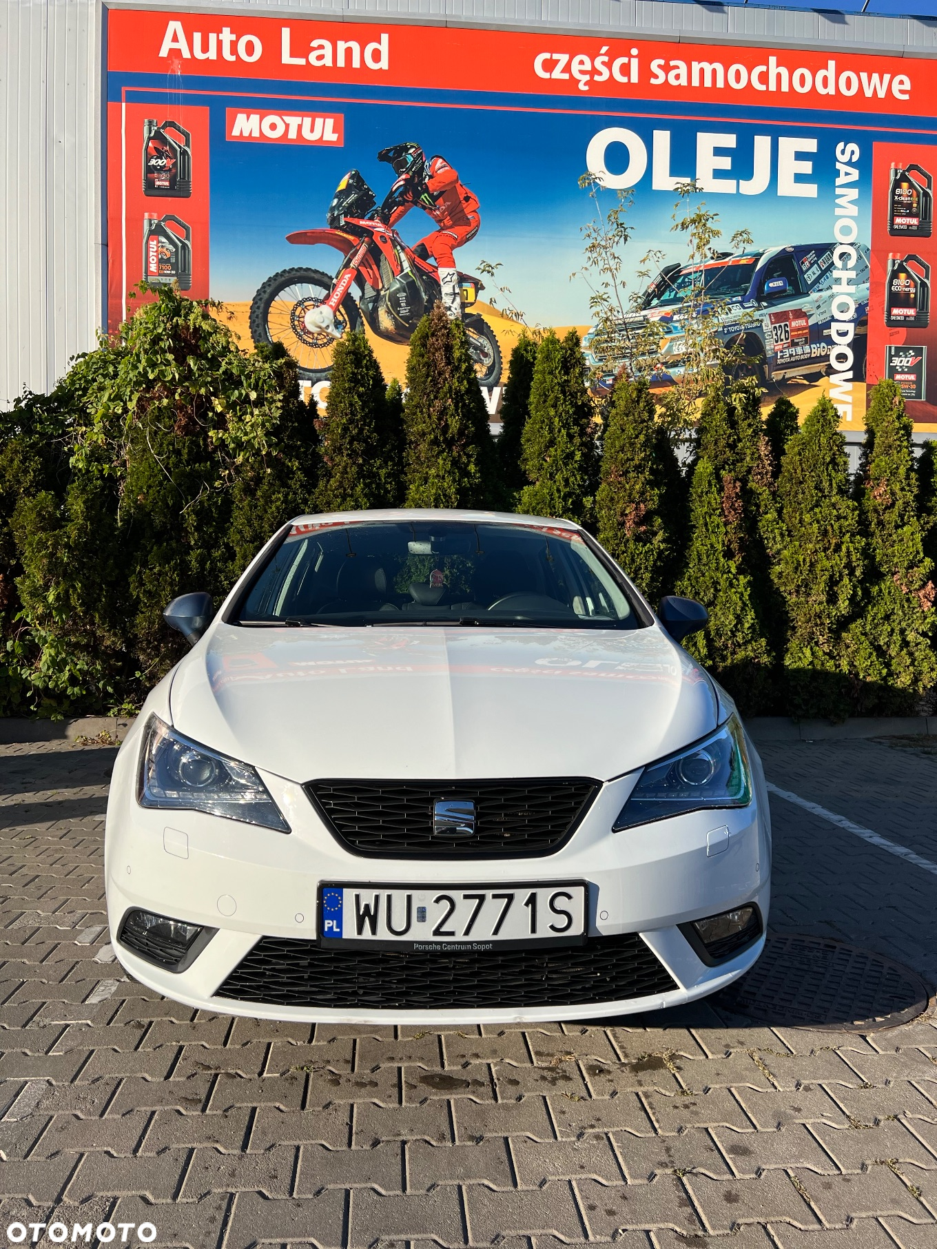 Seat Ibiza - 2