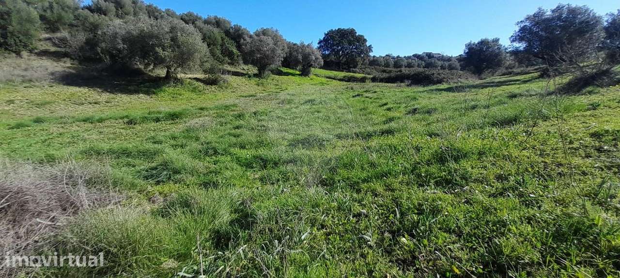 Terreno  para venda - Grande imagem: 5/10