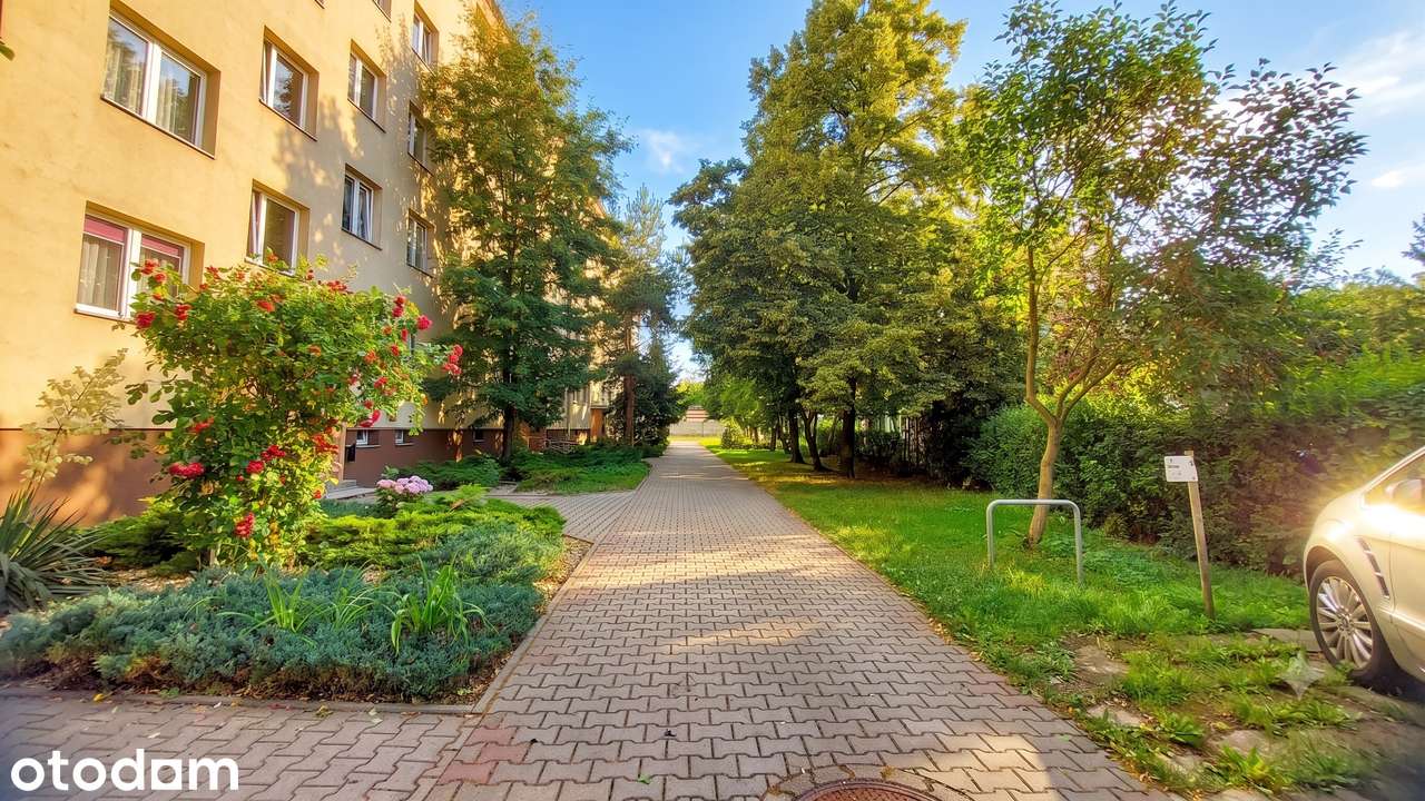 3-pokoje | mieszkanie | zieleń | Różanka~Balkon~Piwnica~Pełna własność