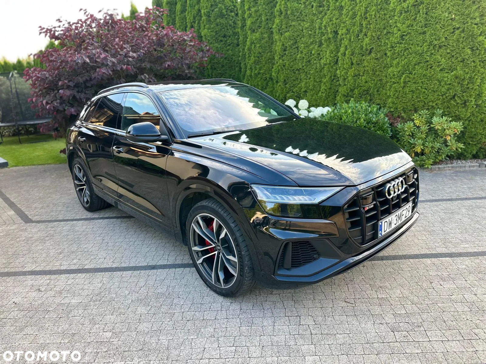 Audi SQ8 TFSI Quattro Tiptronic - 25