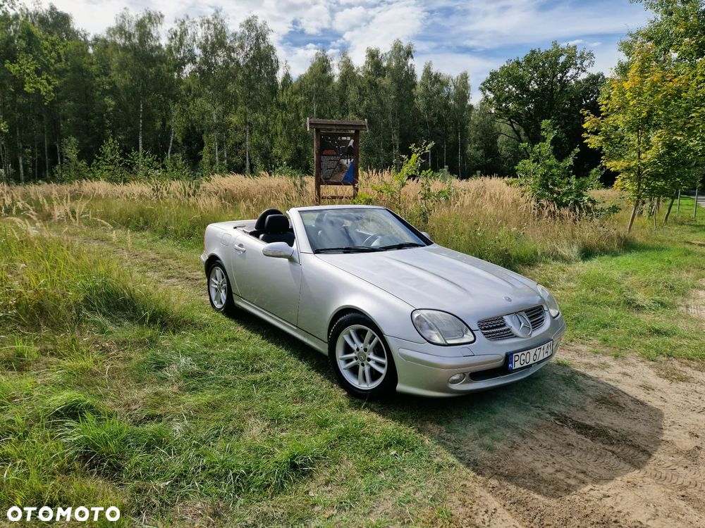 Mercedes-Benz SLK - 16