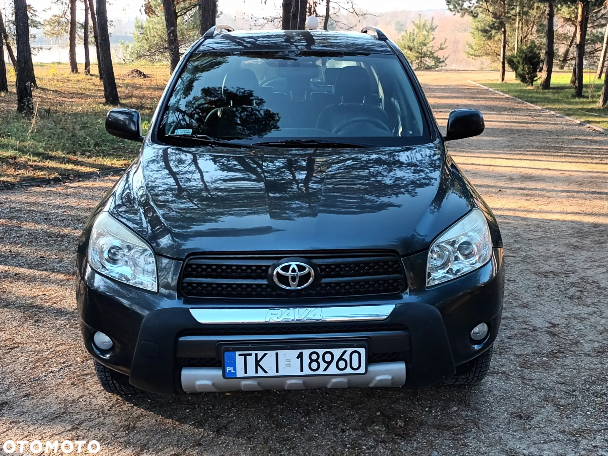 Toyota RAV4 2.2 D-4D Prestige - 4