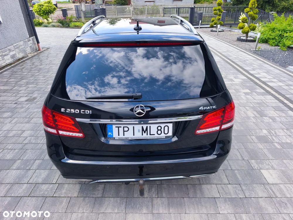 Mercedes-Benz Klasa E 250 CDI 4-Matic Avantgarde - 15