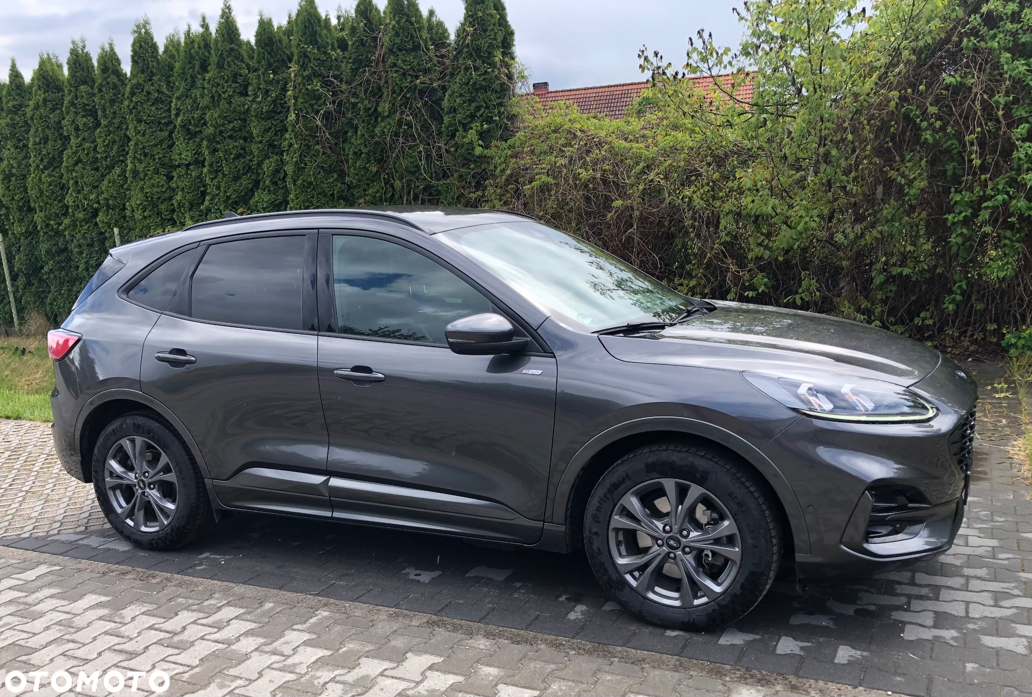 Ford Kuga 2.5P PHEV FWD ST-Line X - 5