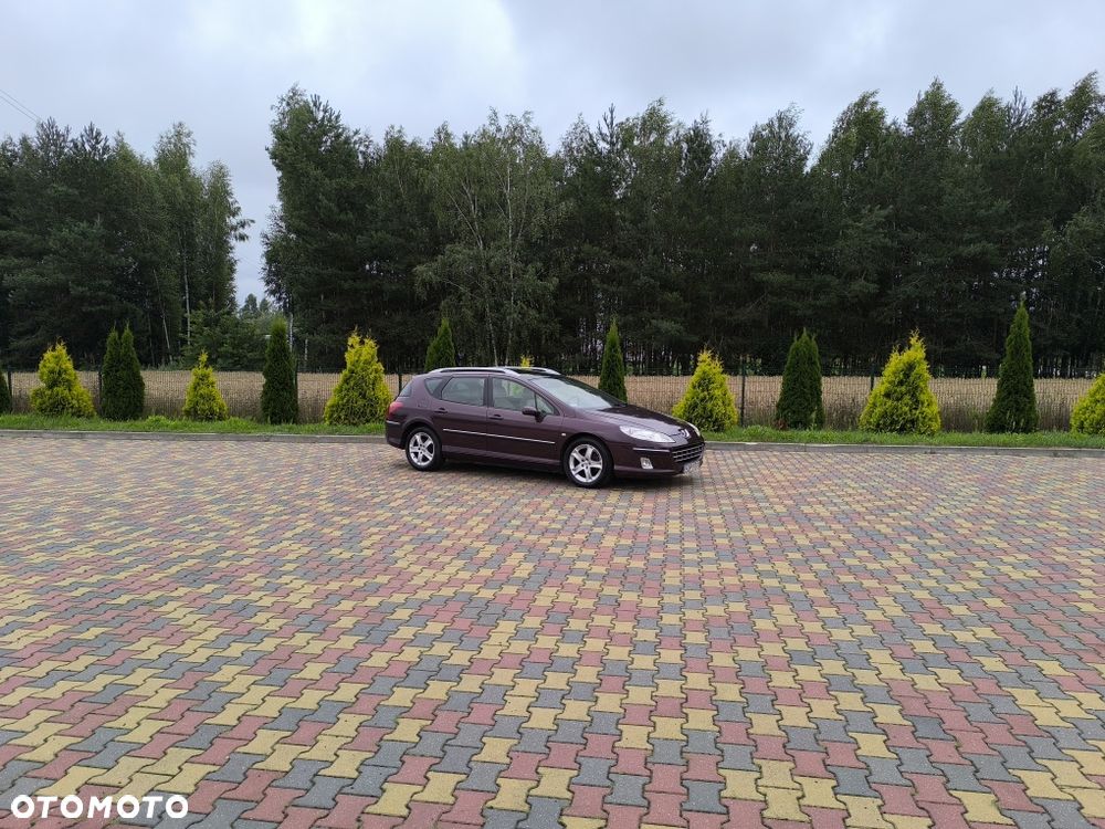 Peugeot 407 - 8