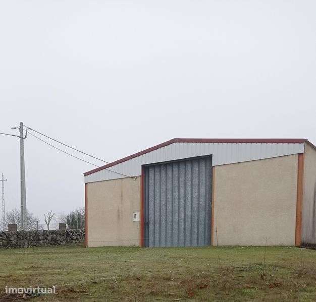 Vende-se Terreno com árvores de fruto e armazém - Grande imagem: 2/2
