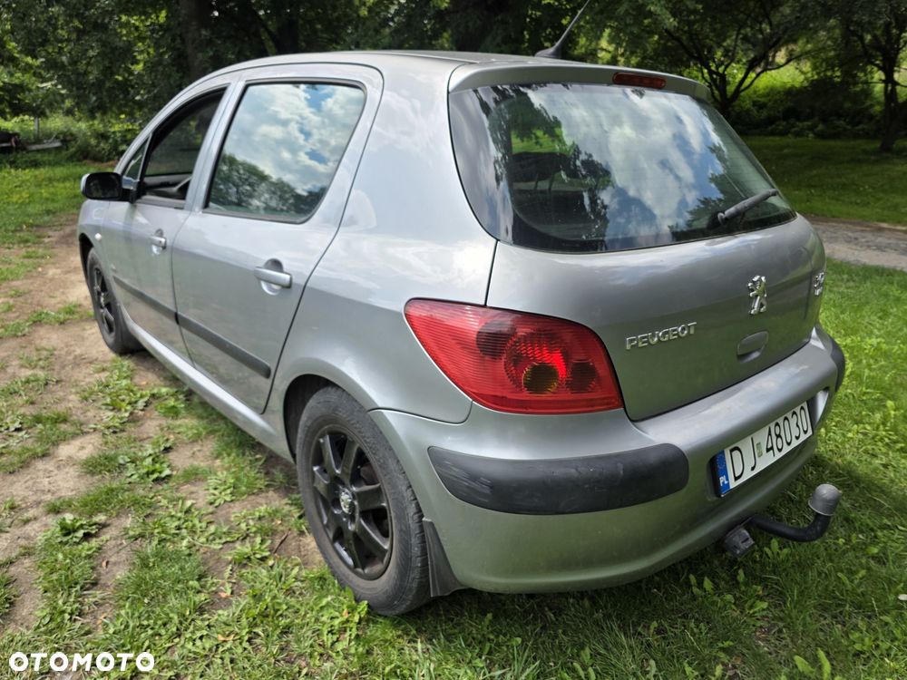 Peugeot 307 - 5