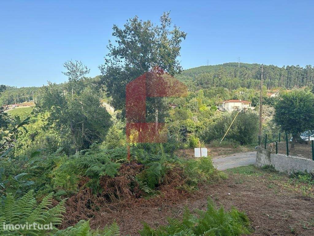 Quintinha, Goães - Grande imagem: 4/21