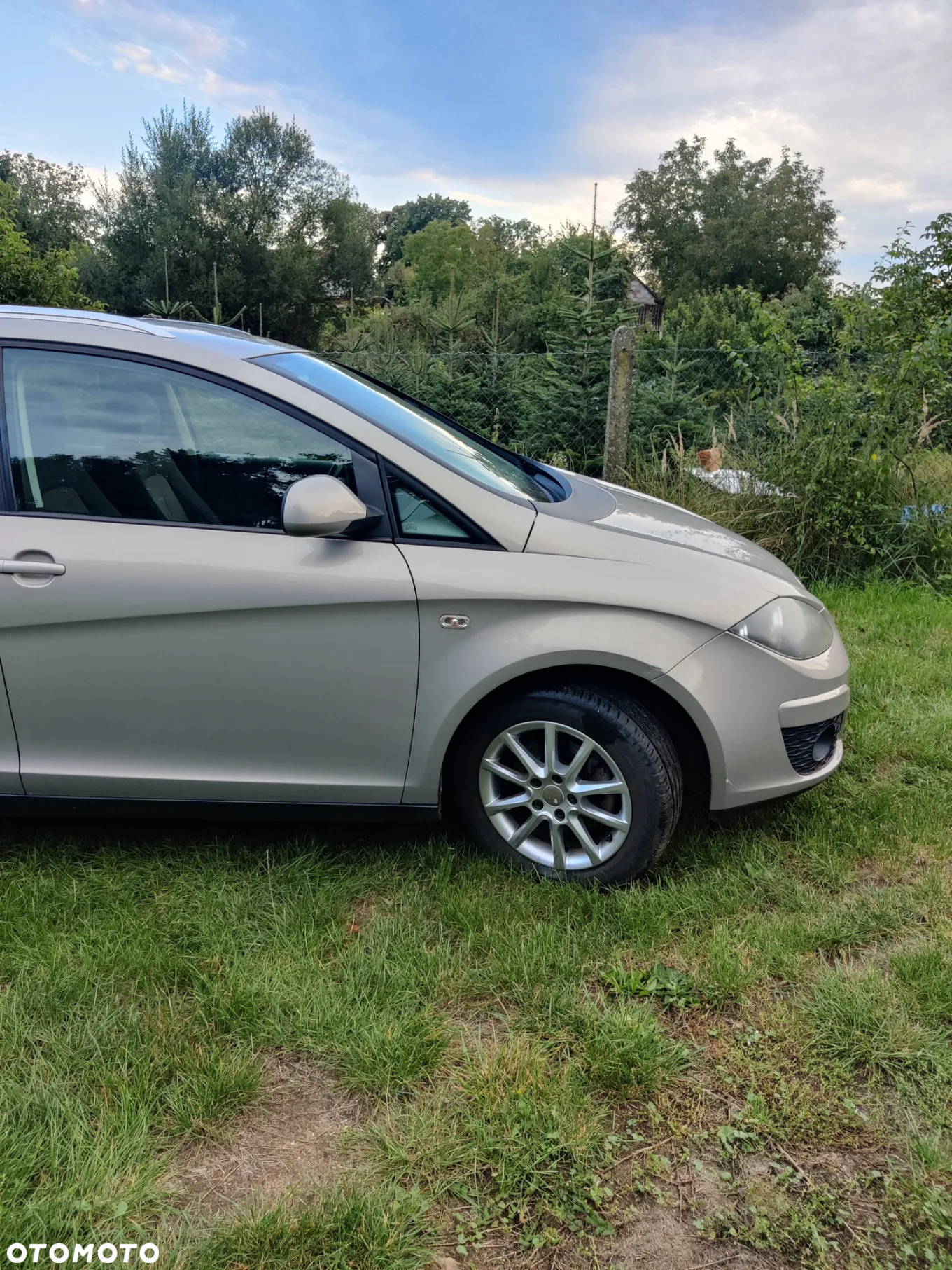 Seat Altea XL - 5