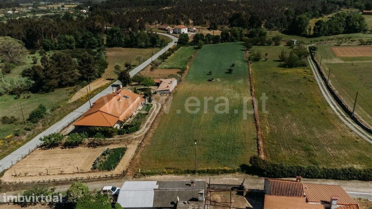Terreno / Fundão, Enxames - Grande imagem: 2/9