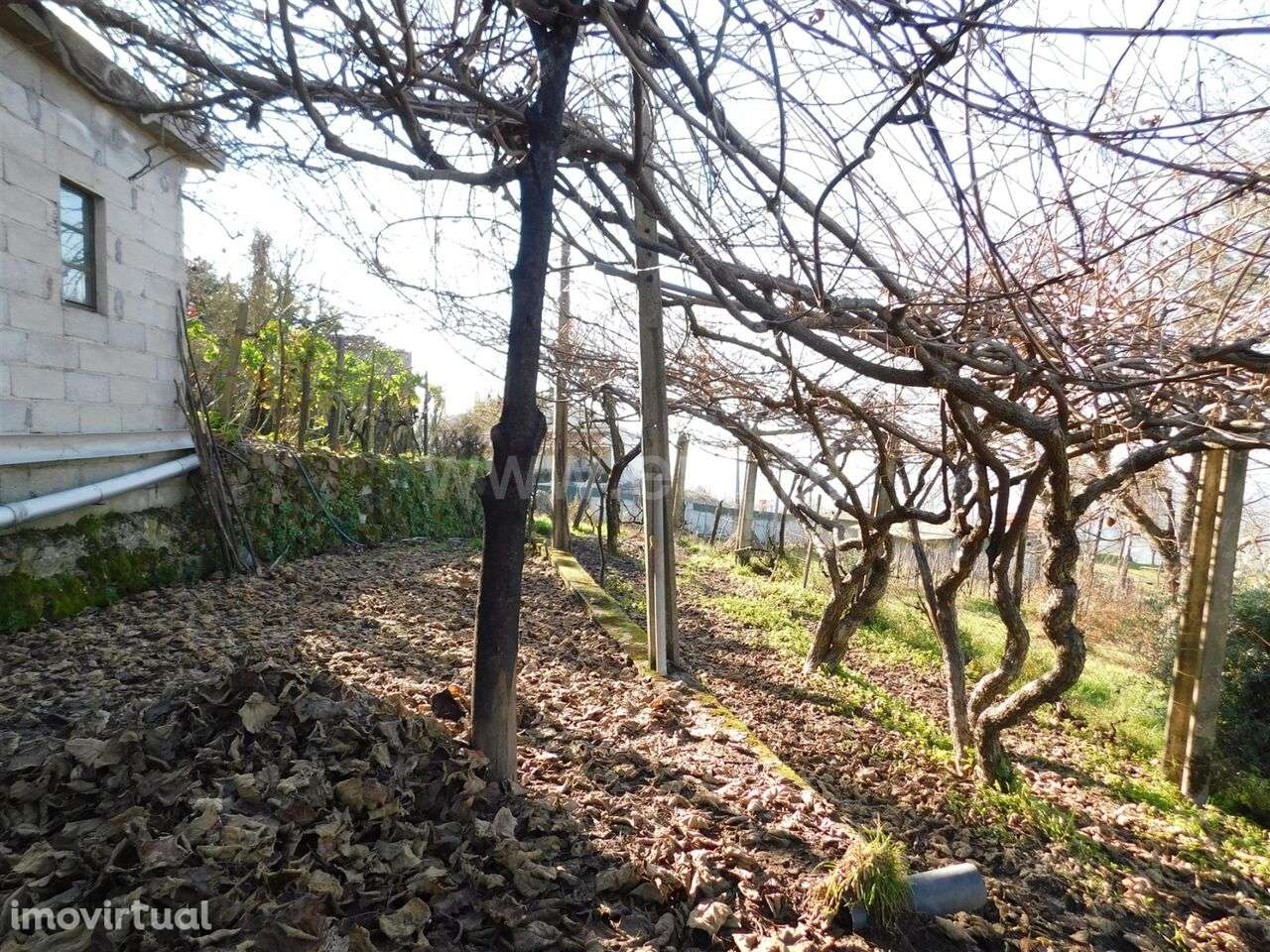 Moradia Isolada T2 / Seia, Sandomil - Grande imagem: 4/5